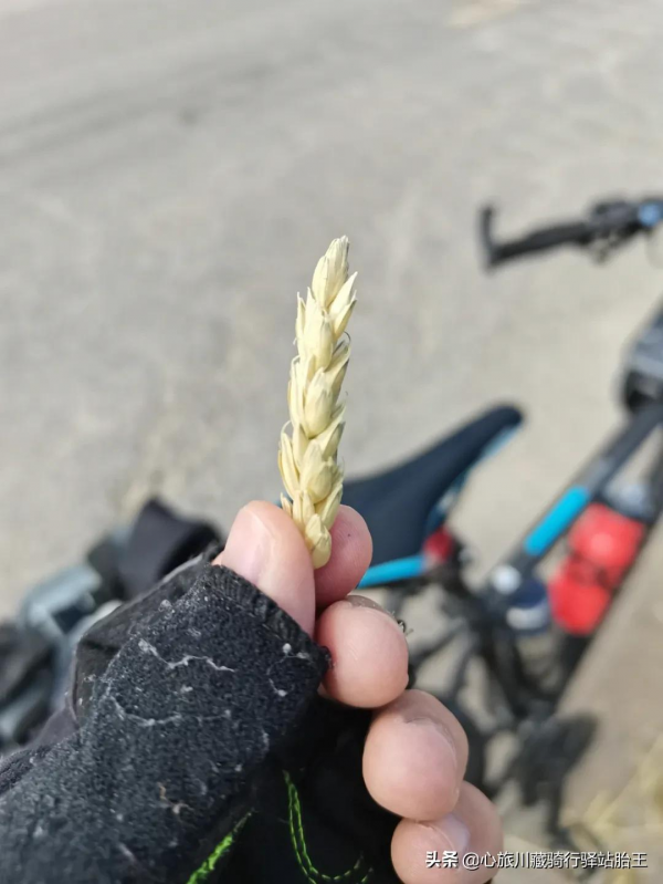 騎行川藏線也有平平無奇的風景，抵達“72拐”腳下--邦達鎮