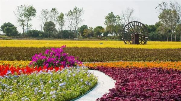 【探索】養在青吳嘉~靜享夏日，江南鄉村美如畫