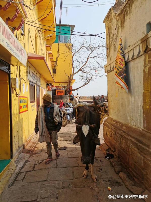 在瓦拉納西，除了有髒和亂，其實還有彩色的夢幻