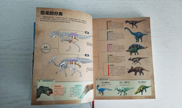 一本關於恐龍的百科書,讓孩子愛上恐龍的世界 一本關於恐龍的百科書,讓孩子愛上恐龍的世界