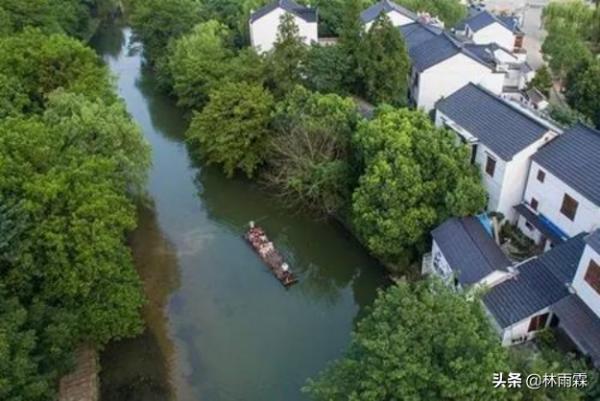 桑蠶文化活化石-柘桑蠶 桑蠶文化活化石-柘桑蠶