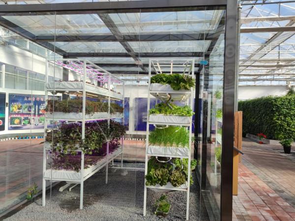 參觀現代智慧農業園有感