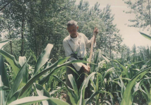 江蘇老農隱姓埋名多年,郵電局長來家裡拜訪,兒子才知父親不簡單 江蘇老農隱姓埋名多年,郵電局長來家裡拜訪,兒子才知父親不簡單