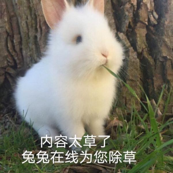 可可愛愛的表情包，快收藏喲