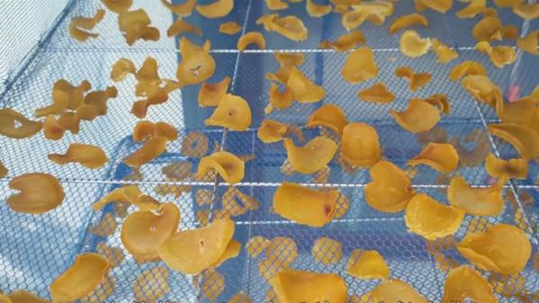 這7種曬乾更香的廉價蔬菜，冬天燉肉特過癮，太香了，放1年也不壞