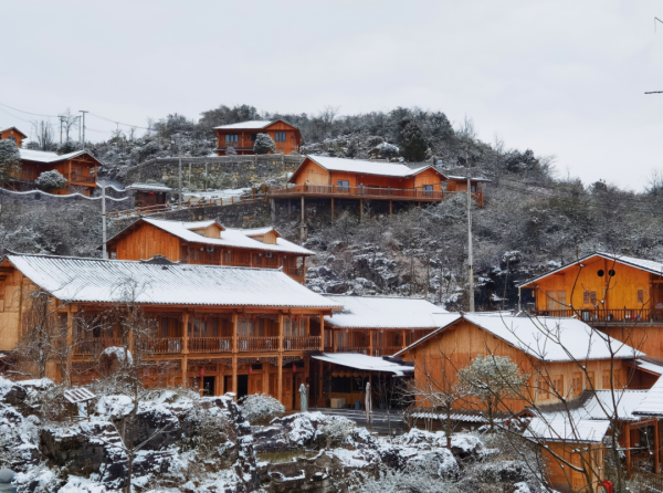 春雪紛飛染冬色 黔地皚皚似北國