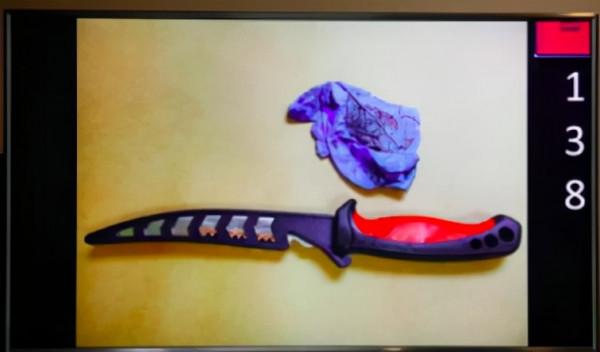 2015年,美國“殘障女”夥同男友殺害母親,被捕後十萬人為其求情 2015年,美國“殘障女”夥同男友殺害母親,被捕後十萬人為其求情