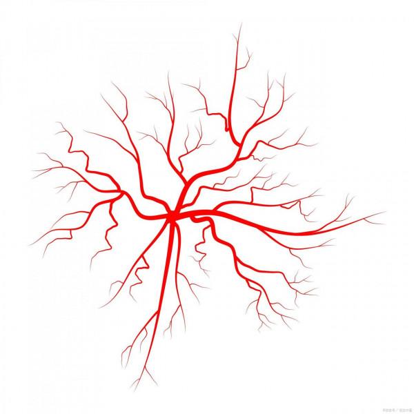 突發胎停！到底是哪些檢查沒到位？實在令人痛心