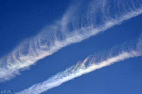 你說你嚐盡了生活的苦，找不到可以相信的人