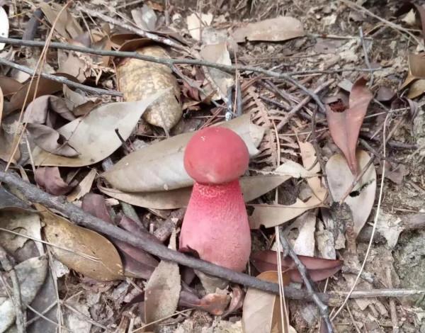 山野鄉間遊蕩（之五）仙水巖記（1）走錯路了