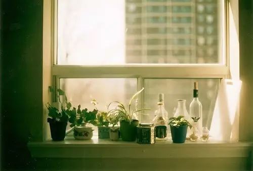 閒,要有滋味;忙,要有價值 閒,要有滋味;忙,要有價值