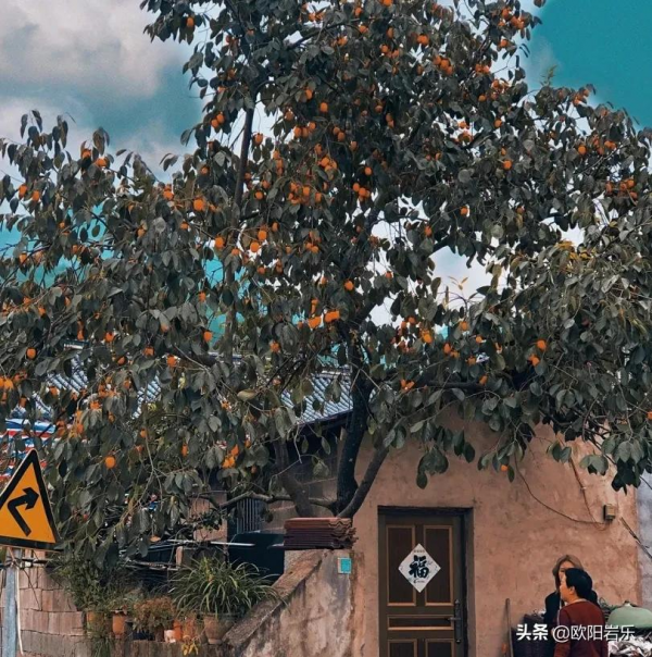 2022，遇見更好的自己！12個月，12種色彩，​遇見12份美麗好心情