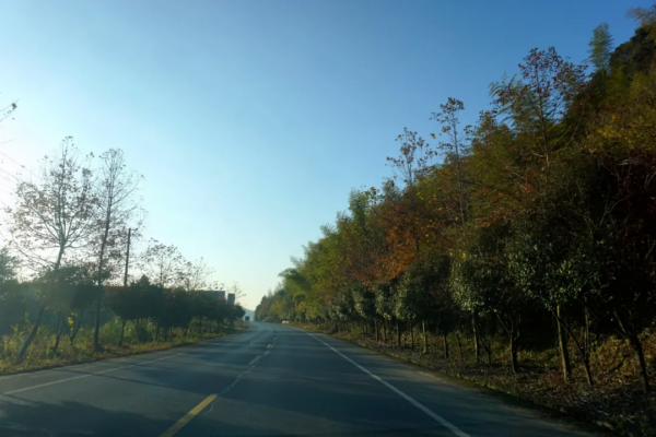 過得像個人，才能看見美