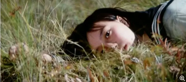 美麗的紫日,無法回首的戰爭 美麗的紫日,無法回首的戰爭