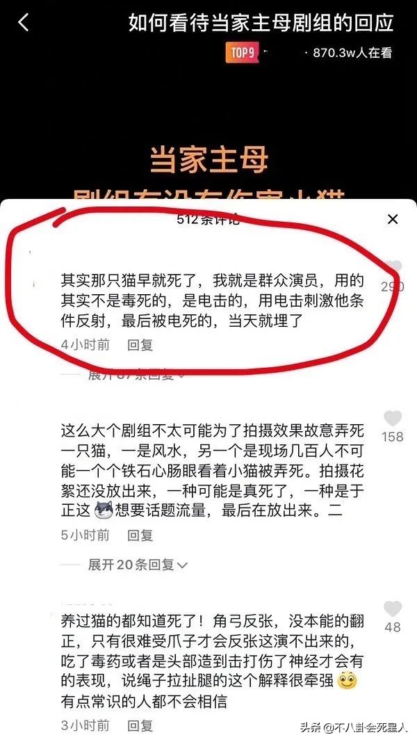 於正新劇虐貓事件進展!群演曝貓真正死因,澄清作假後劇方仍沉默 於正新劇虐貓事件進展!群演曝貓真正死因,澄清作假後劇方仍沉默