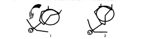 田徑運動力量訓練方法——軀幹（一）