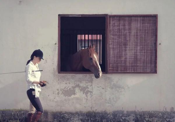 &OpenCurlyDoubleQuote;黑豹主唱&rdquo;欒樹：放棄王菲情定詠梅，相伴28年53歲無兒女也幸福