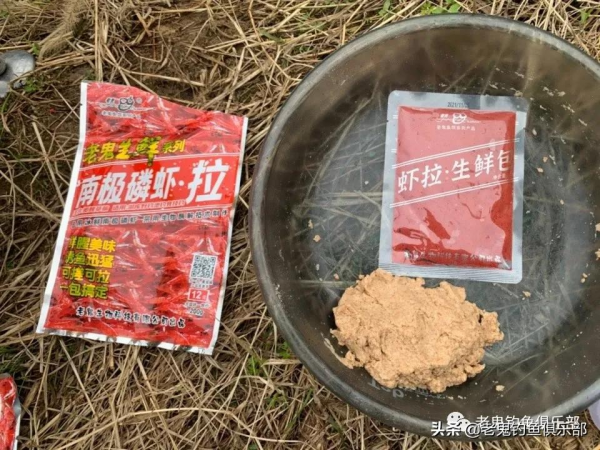 南極磷蝦·拉,不負期待 南極磷蝦·拉,不負期待