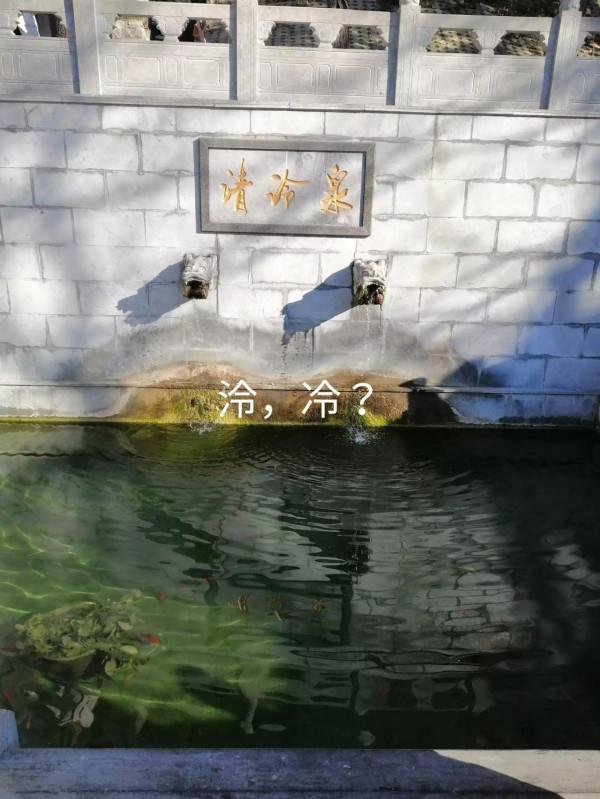 &dollar;&period;006&period;頂遊五峰山