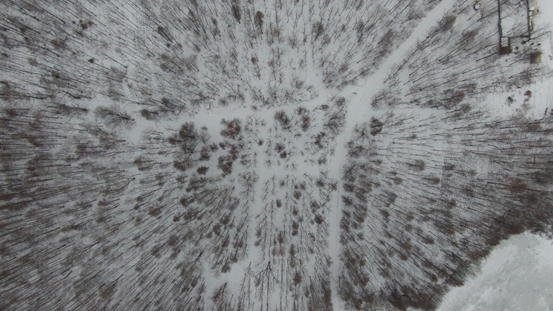 揭秘長白山淘寶小鎮：主播自拉7公里光纜，穿越無人區做直播