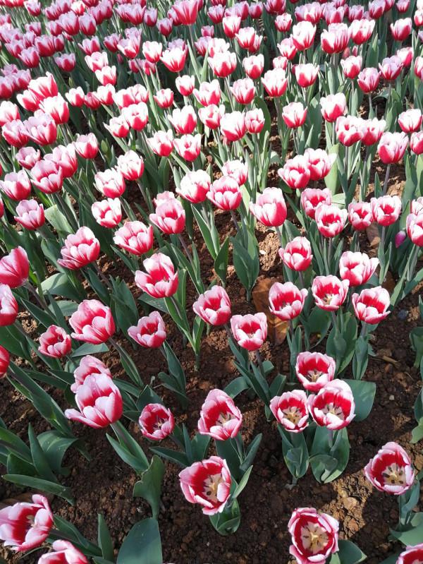 怎樣起個好名字 57 道德規範起名法 怎樣起個好名字 57 道德規範起名法