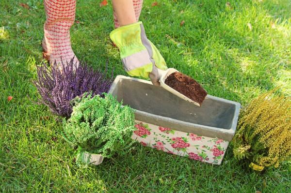 養花的土壤板結?加上4種東西,土壤疏鬆有勁,養啥都省心 養花的土壤板結?加上4種東西,土壤疏鬆有勁,養啥都省心