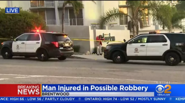 洛杉磯劫匪盯上富人,有人被搶10萬美元珠寶!BLM稱決不能增加警察嚴懲犯罪 洛杉磯劫匪盯上富人,有人被搶10萬美元珠寶!BLM稱決不能增加警察嚴懲犯罪