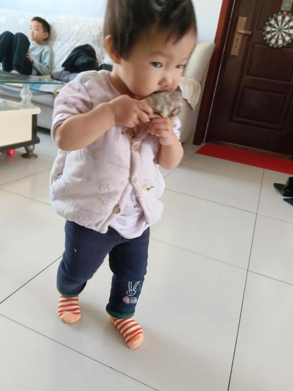 今天吃什麼飯？