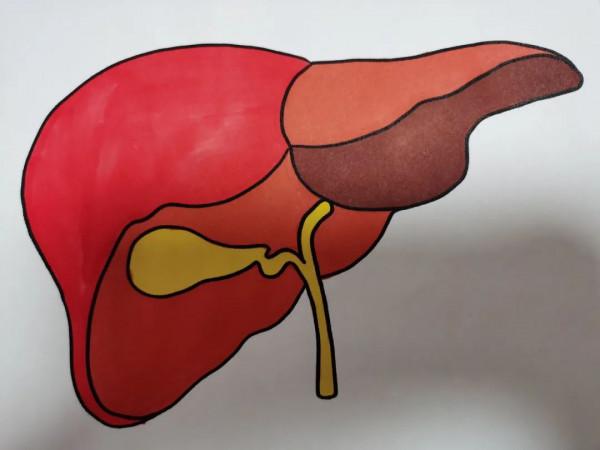 體內肝血不足的3種異常表現，如果你沒有，說明你肝臟健康