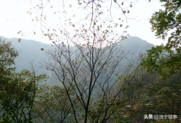 洛寧縣景陽鎮腳跡山 洛寧縣景陽鎮腳跡山