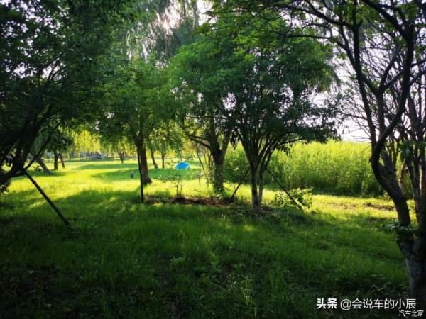 打卡無錫宛山蕩溼地公園，大唐也可以營造田園牧歌