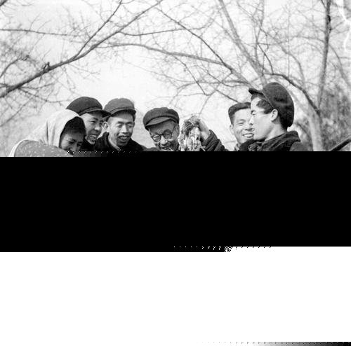 隨處可見的麻雀竟然都是“進口的”,我國本地麻雀去哪了? 隨處可見的麻雀竟然都是“進口的”,我國本地麻雀去哪了?