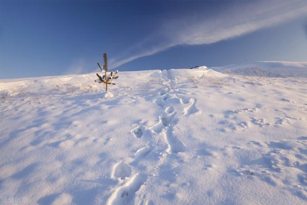 徐克攜徒孫一起拍攝《長津湖》，林超賢感恩這份師生情