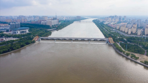 峽山水庫的困局：一年放魚4000萬尾，為何還是“治標不治本”？