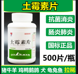 在家中常備這幾種藥，你的寵物再也不怕生病了