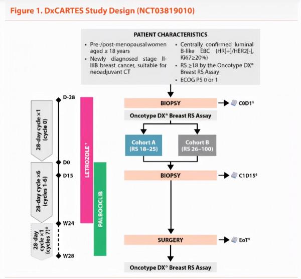 李南林教授：早期HR+乳腺癌輔助強化人群篩選高危因素Ki-67的思考