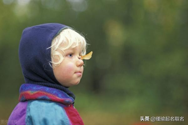 2022寅虎年寶寶取名宜用字，寓意深刻，吉祥大氣