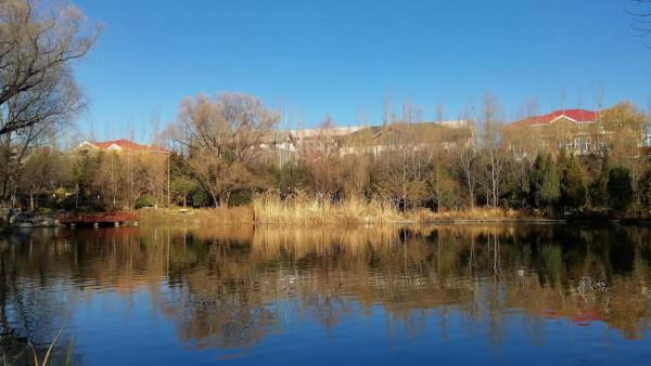 玉淵潭東湖溼地，一個只接待20人的神秘溼地公園