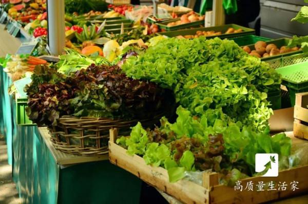 蝦皮、骨頭湯不補鈣！真正的補鈣食物排行榜快收好，別再亂花錢了