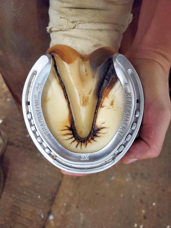 36張圖看精彩世界，巴西情侶被搶，男友撒腿就跑，女子仍淡定吃飯