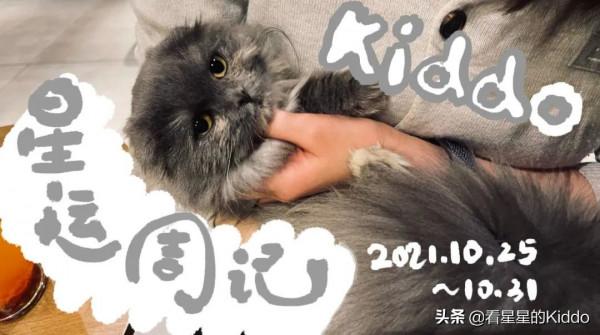 Kiddoの星運週記丨2021.10.25~10.31 Kiddoの星運週記丨2021.10.25~10.31