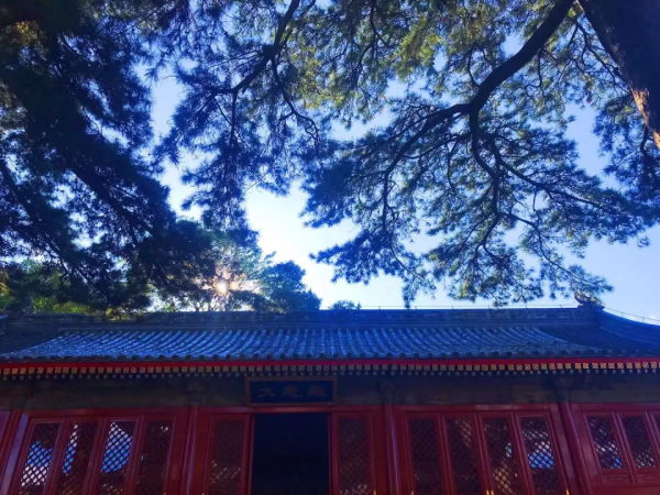 初秋到戒臺寺尋覓禪境，還有佛教最高等級的戒壇可以參觀~