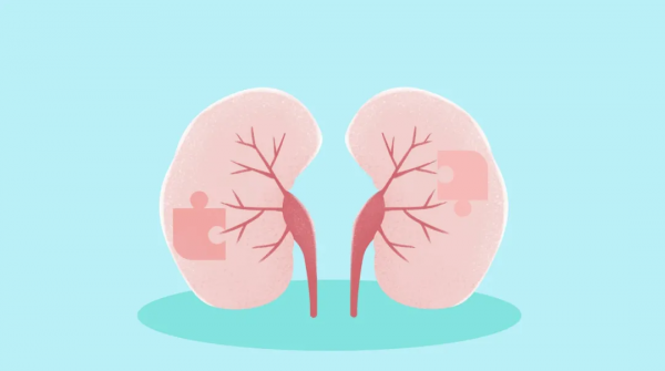 冬季重視養腎是健康長壽之本