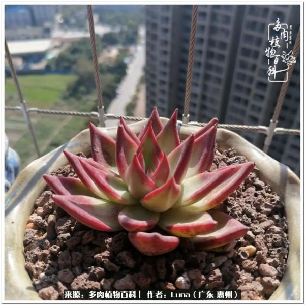 學會和解:與自己、與他人、與世界 學會和解:與自己、與他人、與世界