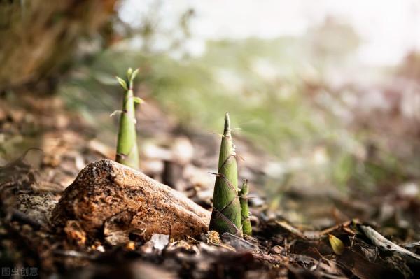 餘生,最聰明的做法,不過是兩個字:存錢 餘生,最聰明的做法,不過是兩個字:存錢