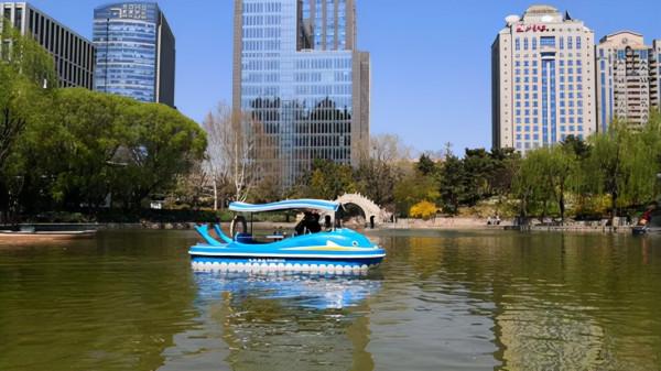 團結湖公園，風景挺不錯，湖邊的綠樹看起來很愜意