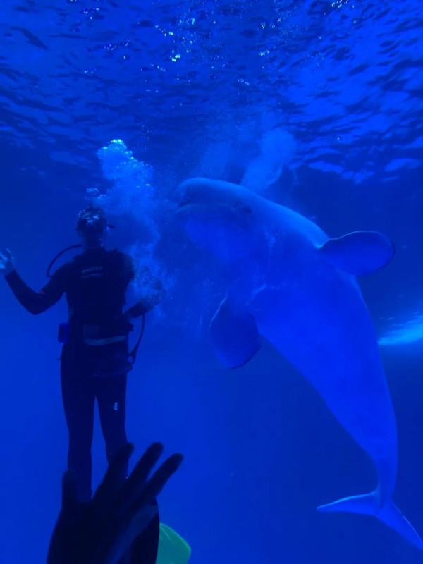 曉寰財經：海南海花島歐堡酒店，去一次就夠了
