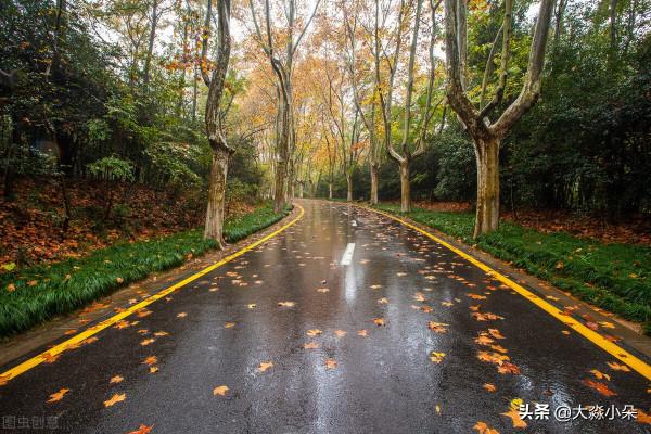 南方的雨！淅淅瀝瀝