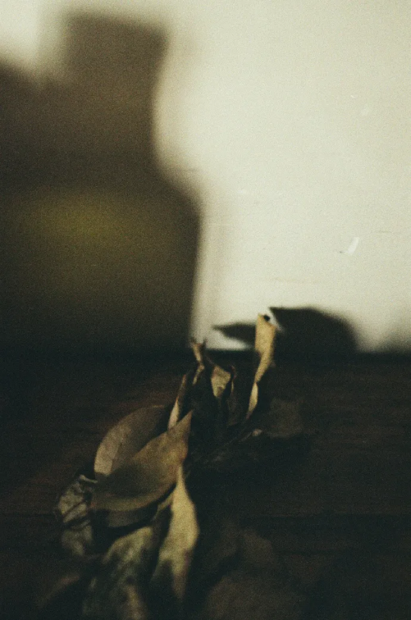 樸素,是一個人的繁華 樸素,是一個人的繁華