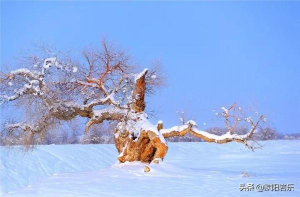 冬天去新疆的9個理由,總有一個讓你瘋狂打call,流連忘返 冬天去新疆的9個理由,總有一個讓你瘋狂打call,流連忘返
